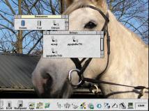 Installed drivers