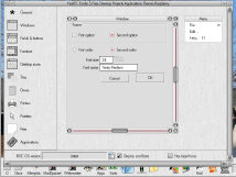 Skinny preview window