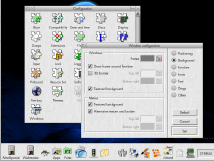 Radio and option buttons