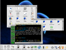 Scrollbars